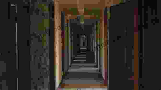 A Dark And Desolate Hallway In A Haunted Asylum, With Peeling Walls And Flickering Lights Dark World 2nd Edition Zak Bagans