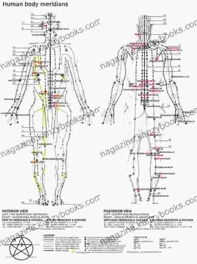 A Diagram Of The Five Elements And Associated Organ Meridians In The Human Body Chinese Medicine Guidebook: Essential Oils To Balance The 5 Elements Organ Meridians