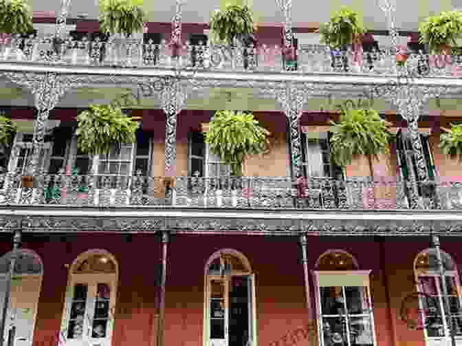 A Dog Exploring The Vibrant Streets Of The French Quarter Outside The Ace Hotel New Orleans The Dog Lover S Guide To Travel: Best Destinations Hotels Events And Advice To Please Your Pet And You