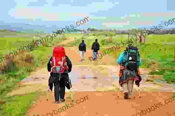 A Group Of Grumpy Pilgrims Walking Along A Path In Spain The Grumpy Pilgrims Ken Morris