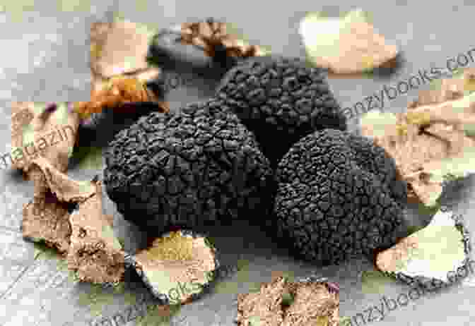 A Handful Of Black Truffles, Known As The Black Gold Of Piemonte The Wines And Foods Of Piemonte