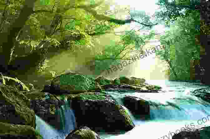 A Serene River Flowing Through A Tranquil Forest, Reflecting The Vibrant Colors Of The Surrounding Trees Dip: Wild Swims From The BFree Downloadlands