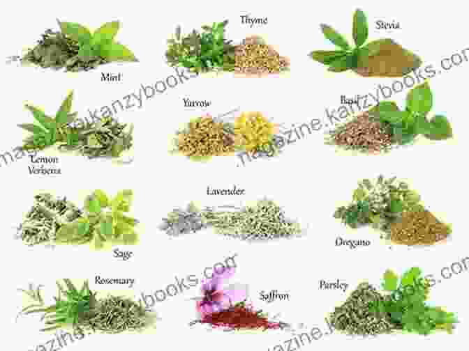 A Variety Of Herbs And Spices Used In Herbal Remedies Natural Remedies: For Beginners: How To Heal Protect And Beautify Yourself Without Prescriptions (Medicine Herbal Healing Organic Antibiotics And (The Doctor S Smarter Self Healing Series)