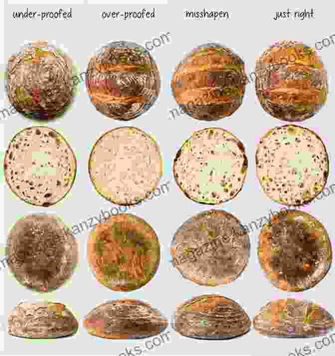 A Visual Guide To Troubleshooting Common Bread Baking Problems, Such As Dense Bread, Gummy Bread, And Burned Bread. Step By Step Guide To Using A Bread Machine:: Make Yummy Healthy And Nutritious Bread With Ease