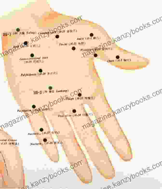 Acupressure Practitioner Applying Gentle Finger Pressure To A Patient's Meridian Point Chinese Holistic Medicine In Your Daily Life: Combine Acupressure Herbal Remedies Qigong For Integrated Natural Healing