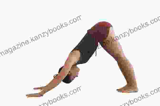 Adho Mukha Svanasana (Downward Facing Dog) Anatomy For Vinyasa Flow And Standing Poses: Yoga Mat Companion 1