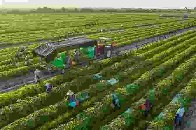 Aerial View Of A Large Scale Industrial Farm Produce With A Purpose: So Your Doctor Told You To Eat More Fruit And Vegetables Now What?