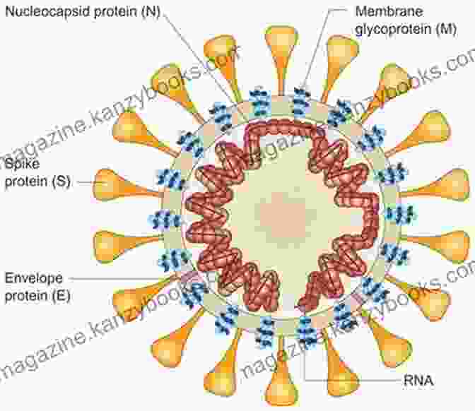 An Illustration Of The SARS CoV 2 Virus, Showcasing Its Intricate Structure And The Viral Envelope Containing The RNA Genetic Material. Simplifying The COVID Puzzle: How Two Essential Vitamins Fortify The Immune System