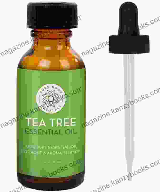 Antibacterial Tea Tree Essential Oil For Skin Cleansing And Immune Support Essential Oils For Health And Healing