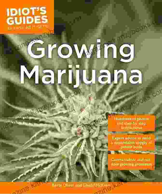 Cannabis Light Spectrum Growing Marijuana: Expert Advice To Yield A Dependable Supply Of Potent Buds (Idiot S Guides)