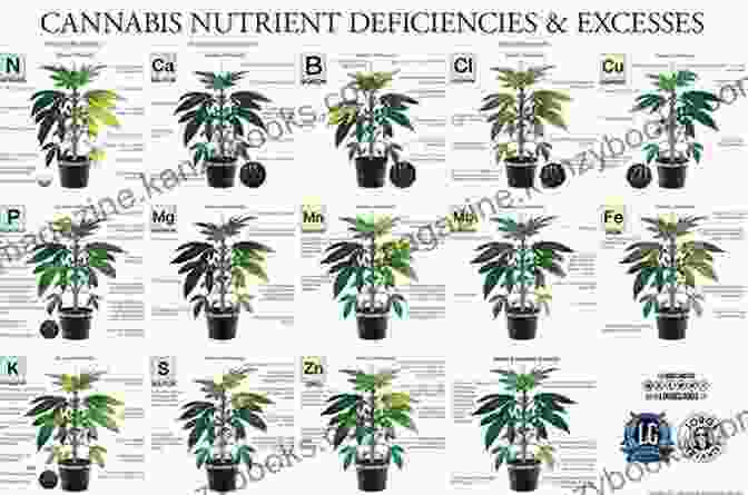 Cannabis Nutrient Chart Growing Marijuana: Expert Advice To Yield A Dependable Supply Of Potent Buds (Idiot S Guides)