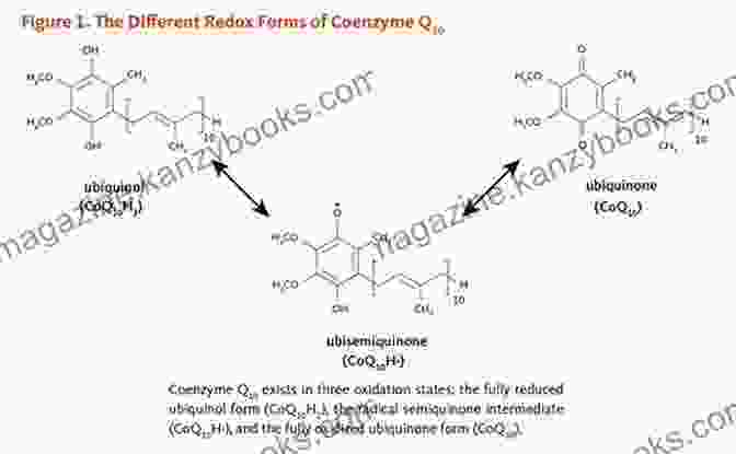 CoQ10 Molecule Surrounded By Brain Cells CoQ10 Alzheimer S Disease Roberta Schneider