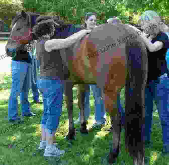 Earth Lodge Healing For Horses Equine Herbs Healing: An Earth Lodge Guide To Horse Wellness