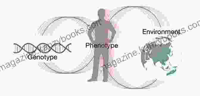 Exploring Genetic And Environmental Influences The Complete Idiot S Guide To Bipolar DisFree Download: Understand Treat And Thrive With Bipolar DisFree Download (Complete Idiot S Guides)