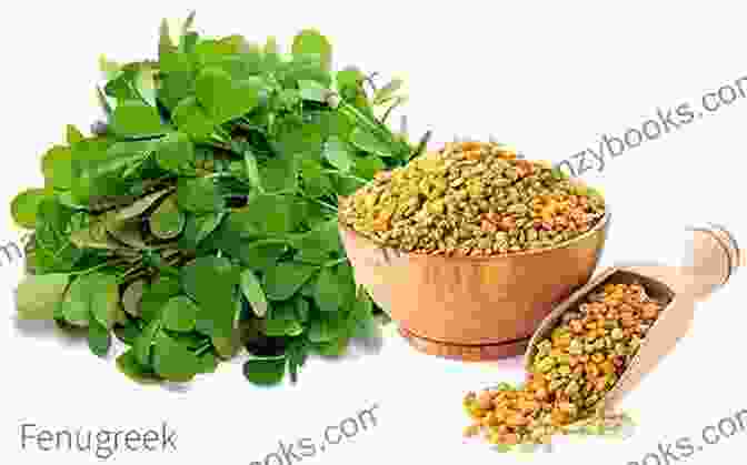 Fenugreek Seeds And Leaves Fenugreek An Ingredient Fit For A Pharoah