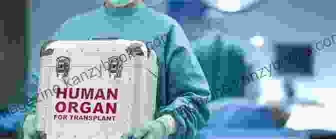 Image Of A Person Receiving An Organ Transplant Organ Transplantation: How To Get Your Organ Transplant