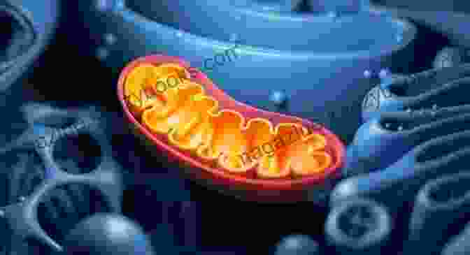 Image Of Mitochondria, The Energy Powerhouses Of The Cell. Mitochondria In Health And Disease: Personalized Nutrition For Healthcare Practitioners (Personalized Nutrition And Lifestyle Medicine For Healthcare Practitioners)