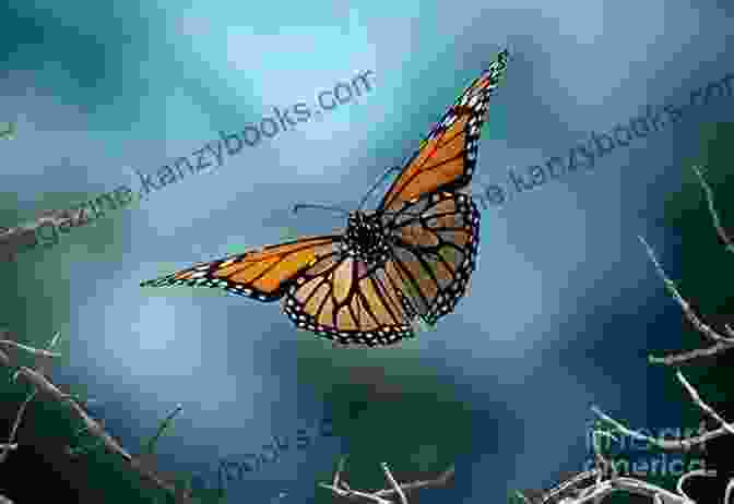 Monarch Butterfly In Flight Winged Wonders: Solving The Monarch Migration Mystery