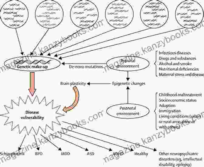 Psychiatric Conditions Exploring The Genetic Connections To Mental Health Neurogenetics Part I (ISSN 147)