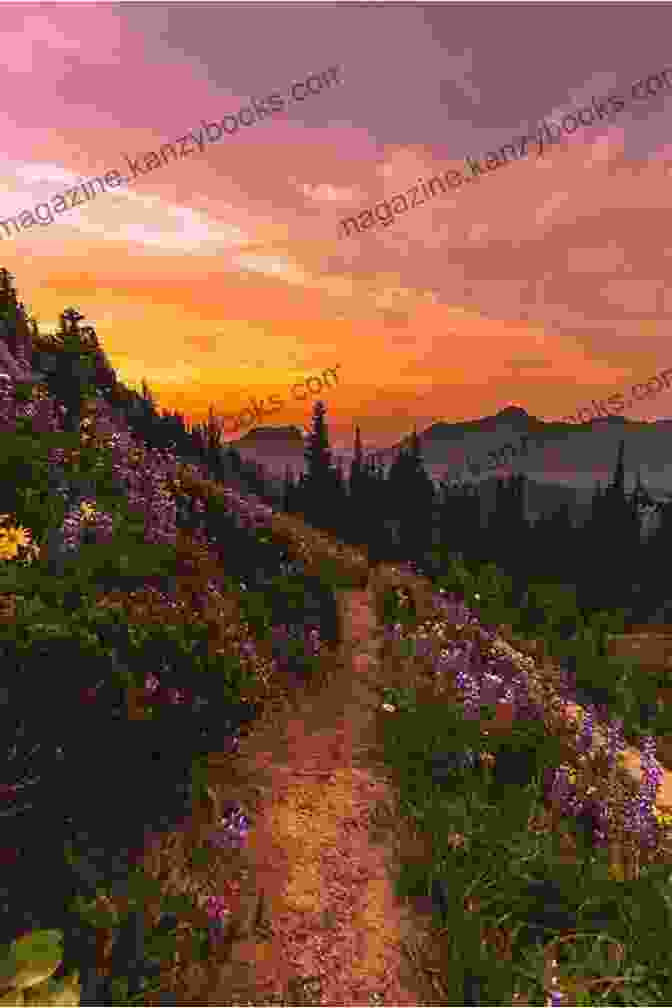 Stunning Sunset On The Pacific Crest Trail Endurance Kim Taylor