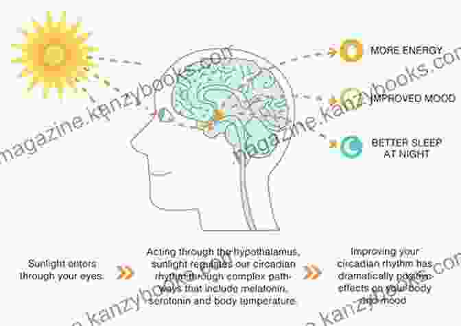 Sunlight, Exercise, And Nature Therapy For Depression Treat Depression Naturally (LIFE Healing 1)