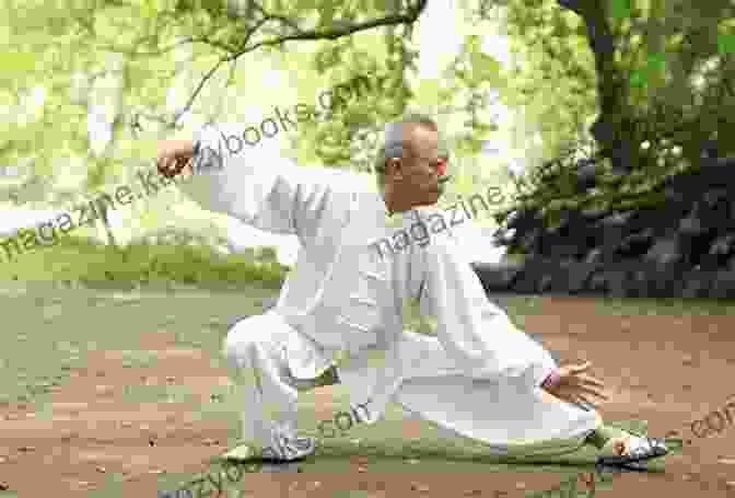 Tai Chi Practitioner In Flowing Posture Signposts On A Martial Arts Journey Tai Chi Hsing I Bagua And The Art Of Life