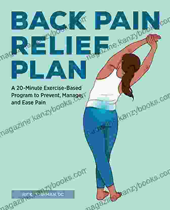 The Back Pain Relief Plan Book Cover THE BACK LAIN RELIEF PLAN: THE COMPLETE GUIDE TO CONQUER BACK PAIN FOREVER