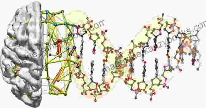 The Genetic Architecture Of The Brain A Network Of Interacting Genes Shaping Brain Development And Function Neurogenetics Part I (ISSN 147)