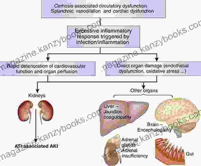 The Liver And Renal Disease: A Complex Interplay The Liver And Renal Disease An Issue Of Clinics In Liver Disease (The Clinics: Internal Medicine)