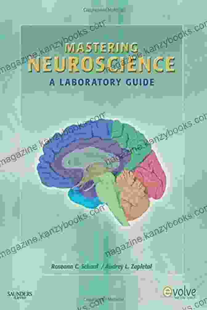 Tourette Syndrome: The Facts By Roseann Zaft, A Comprehensive Guide To The Neurological Condition. Tourette Syndrome (The Facts) Roseann Zaft