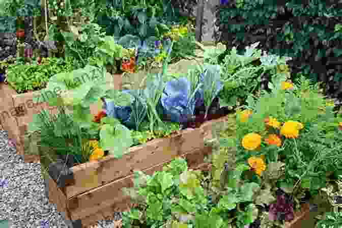 Vibrant Garden With Colorful Vegetables And Flowers Produce With A Purpose: So Your Doctor Told You To Eat More Fruit And Vegetables Now What?