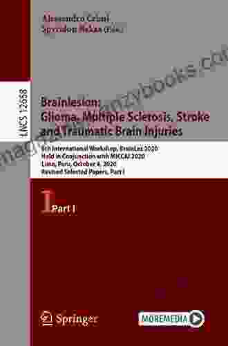 Brainlesion: Glioma Multiple Sclerosis Stroke and Traumatic Brain Injuries: 6th International Workshop BrainLes 2024 Held in Conjunction with MICCAI Notes in Computer Science 12659)