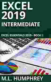 Excel 2024 Intermediate (Excel Essentials 2024 2)