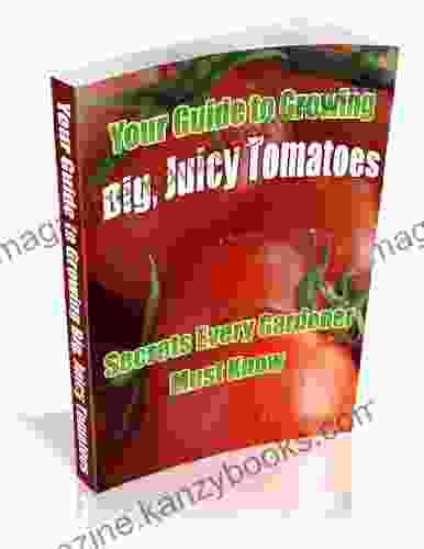 Growing Tomatoes: How To Grow Tomatoes That Are Big Colorful Juicy And Tasty