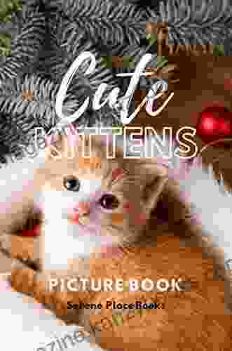 Cute Kittens Picture Book: A Gift for Alzheimer s Patients and Seniors with Dementia (Picture and Dementia Activities for Seniors 3)