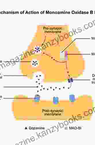 Monoamine Oxidases And Their Inhibitors (ISSN 100)