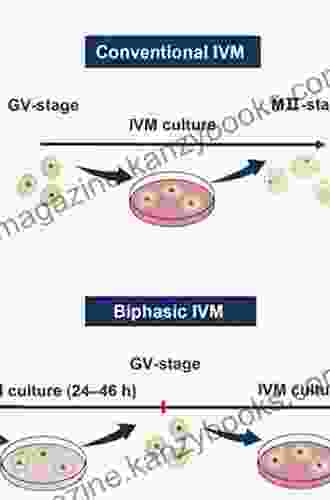 Development Of In Vitro Maturation For Human Oocytes: Natural And Mild Approaches To Clinical Infertility Treatment