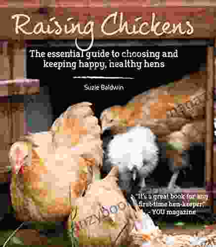 Raising Chickens Suzie Baldwin